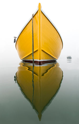 Yellow Hull